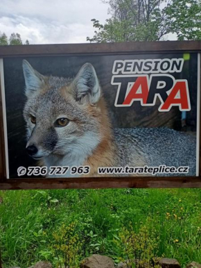 pension TARA